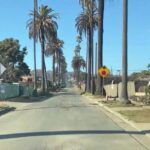 Thành phố Los Angeles cấm “tour tham quan thảm họa” ở khu vực cháy rừng Palisades