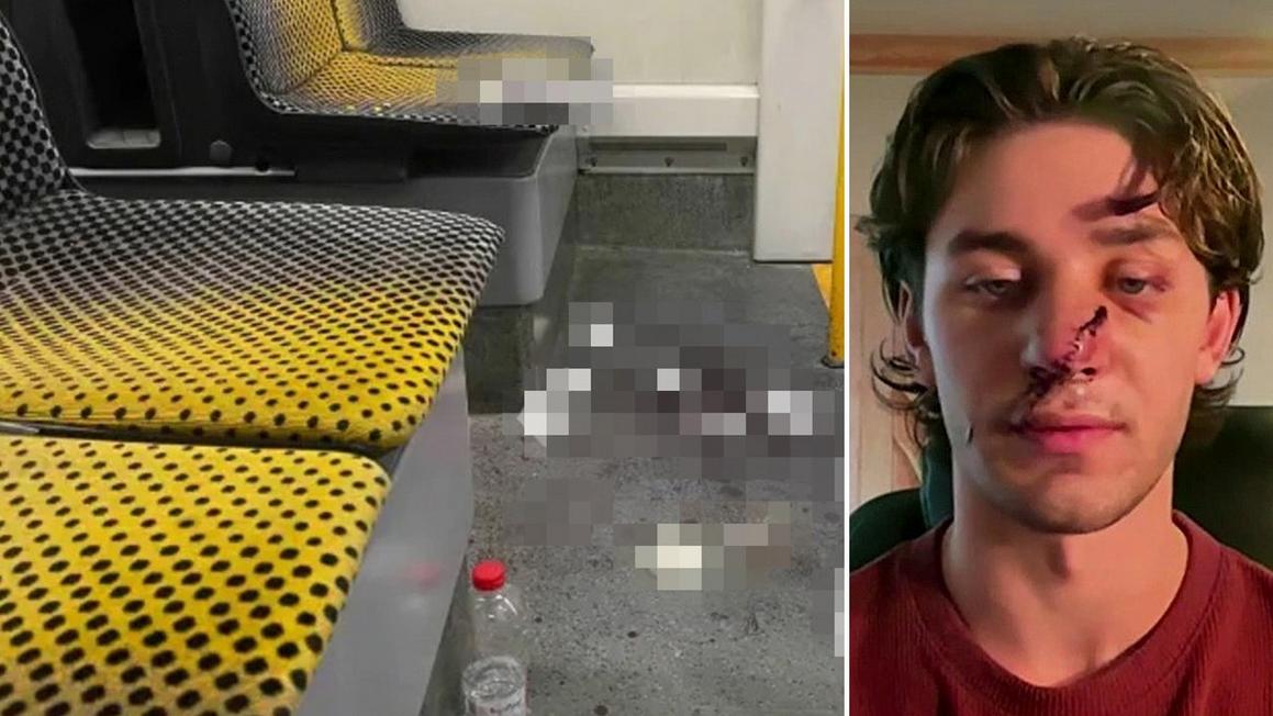 john rudat german tram stabbing 2